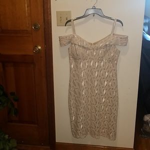 R & M Richards Elegant formal lace dress Sz 12P
